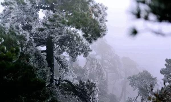 皇冠地下城选关版
