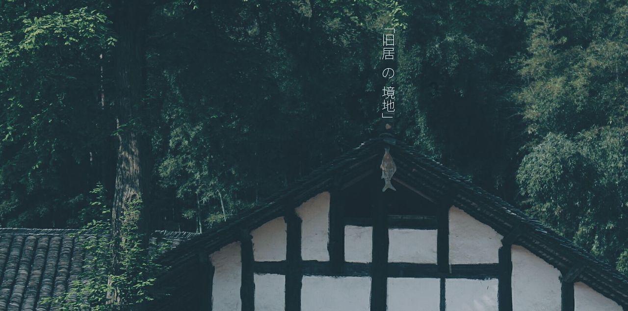 为什么我找男朋友难于上青天?-专业问答平台,满足你的求知欲