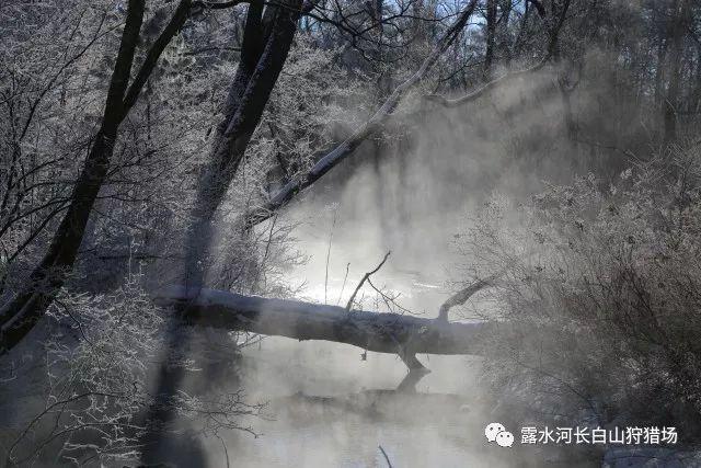 宋太宗赵光义，真的曾经临幸李煜的小周后，还让人作画留念吗