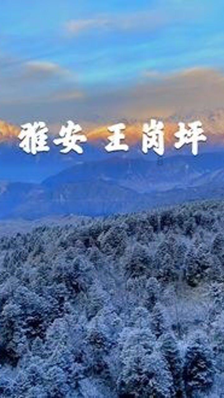 一年内二度履新，杨胜杰任浙江省海洋经济发展厅厅长