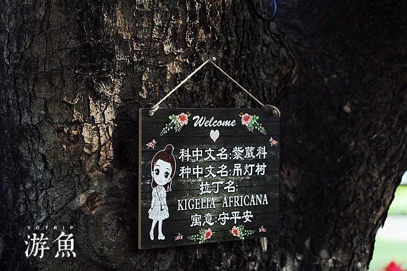 次元喵