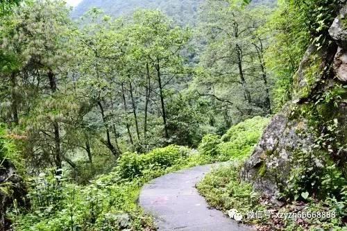 怎样去除冰箱异味