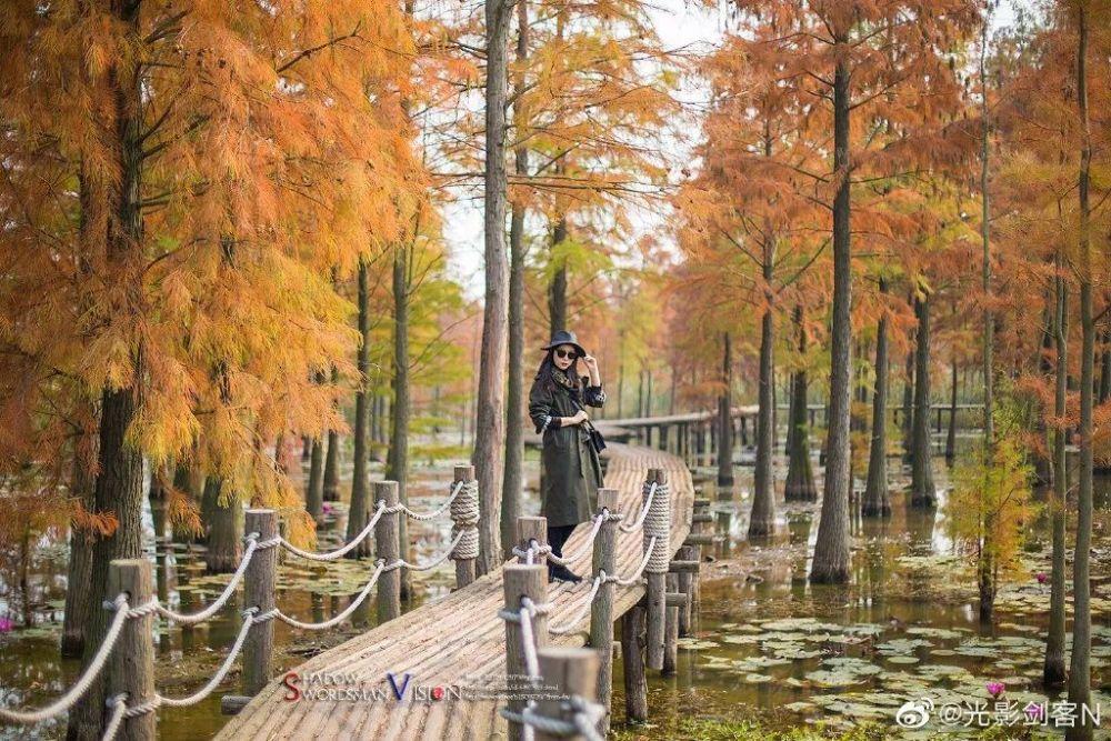 婚前可不可以在异地办理离婚证游戏画面