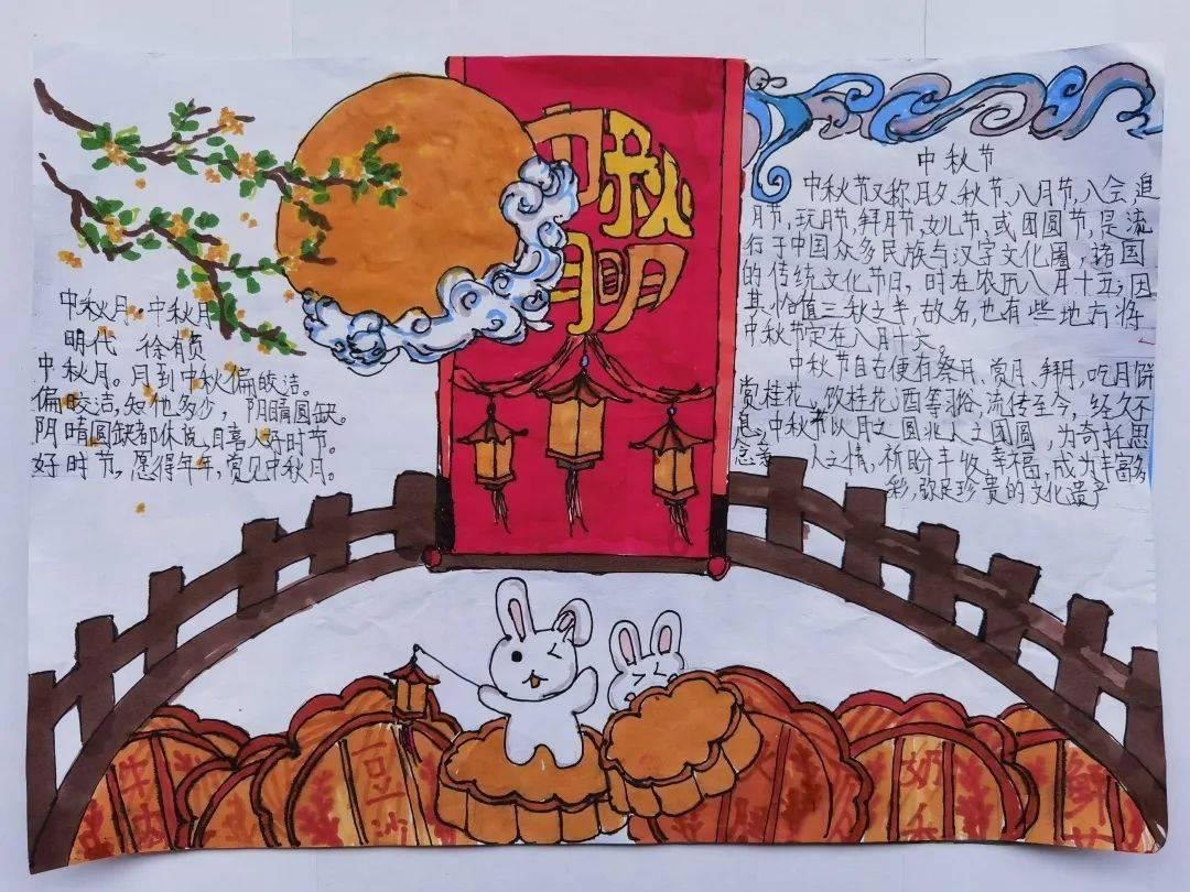 胖小猫救援