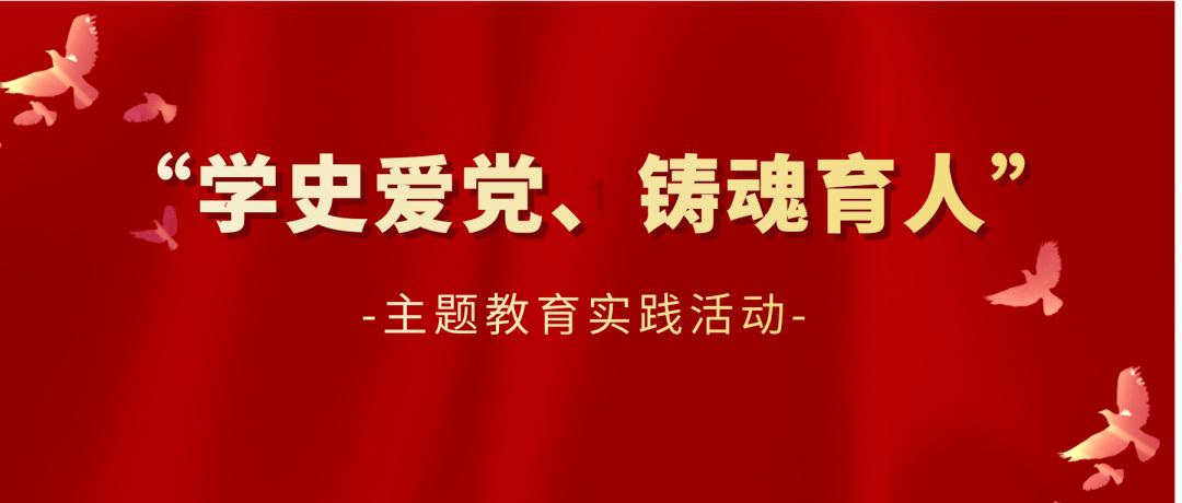 探探猫之飞天萌猫