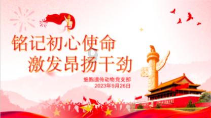 迷你西游