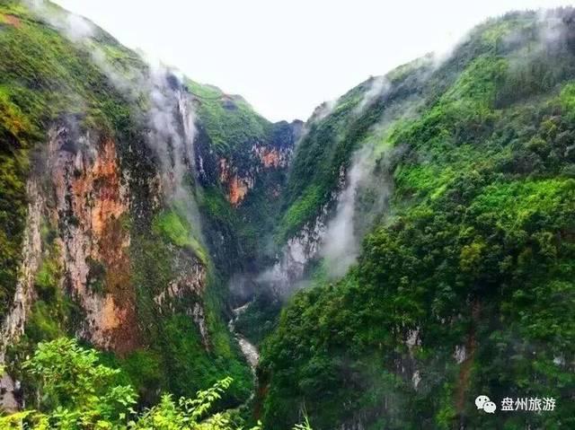 披萨找不同