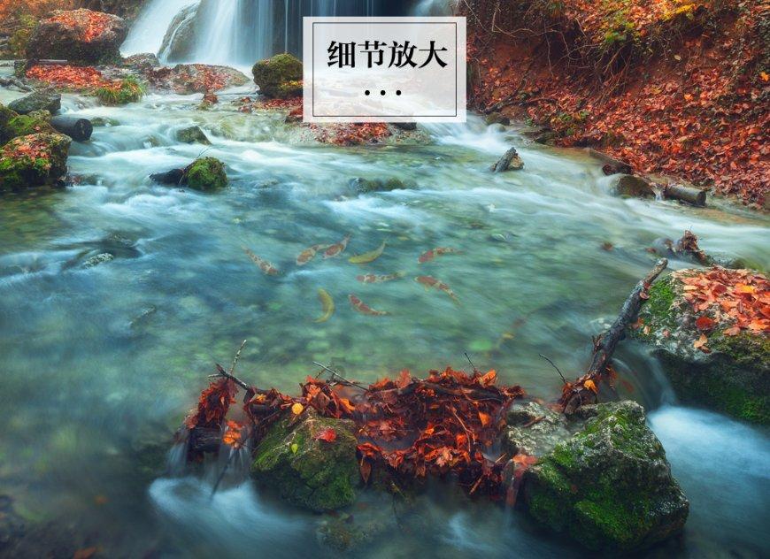 《幻兽帕鲁》异构格里芬飞行介绍