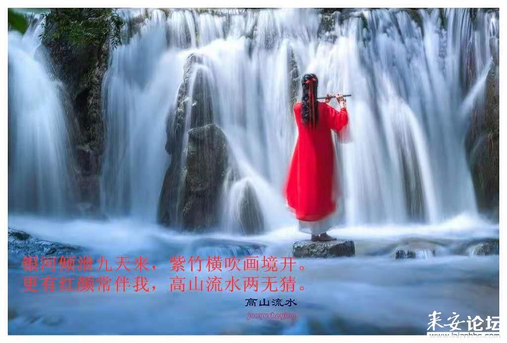 伍佰生日变装老嫂子，求购买链接！想给外婆买一件衣服