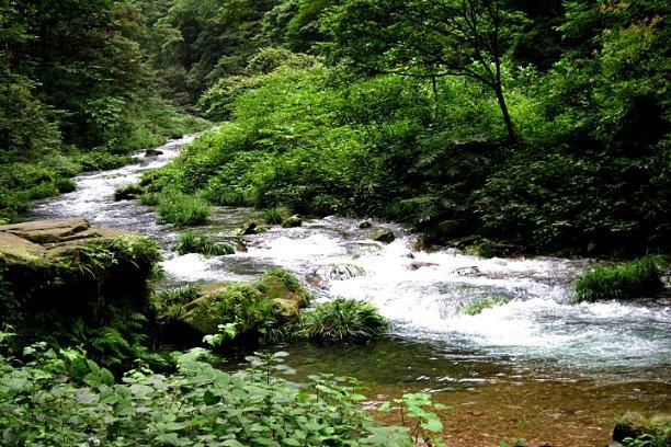 未知岛屿