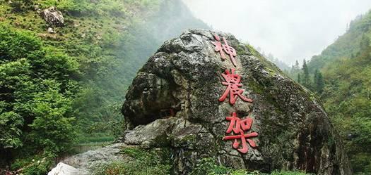 理财专员