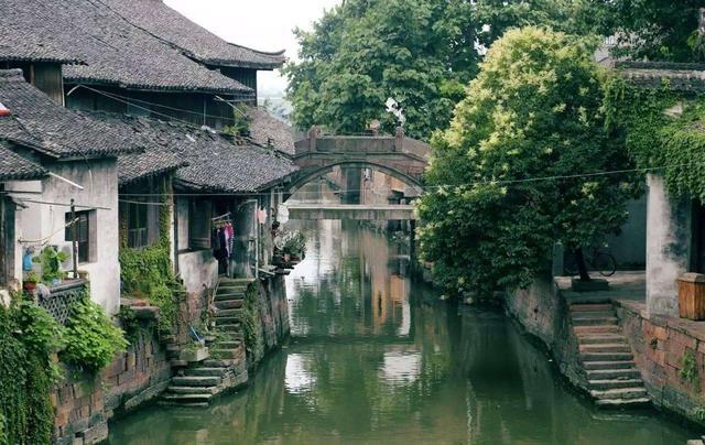 银河中动物逃生