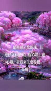 迷路的披萨配送员